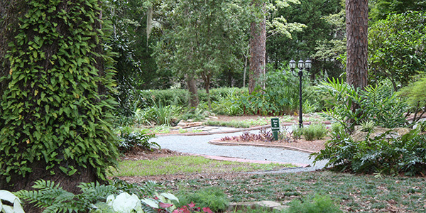 One of the many walking trails